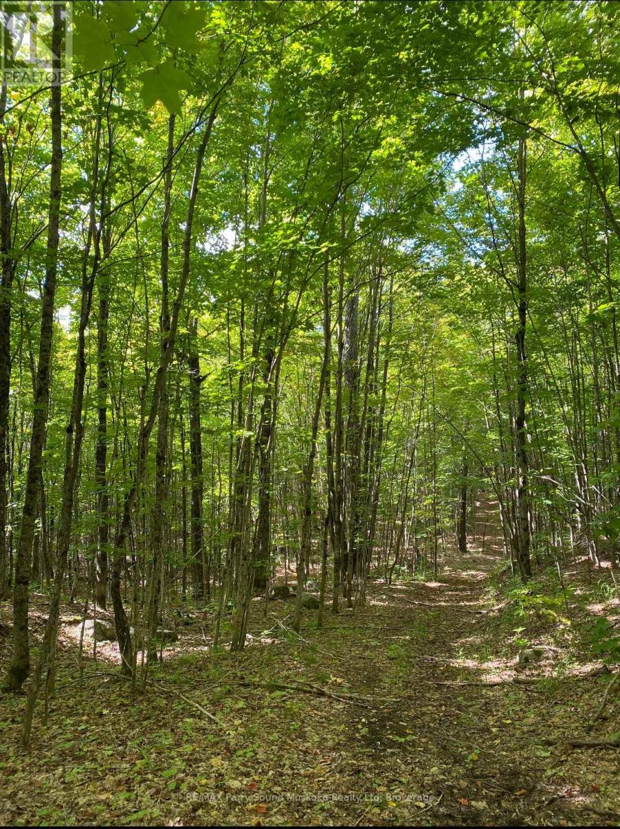 0 Blackwater Road, Mckellar, Ontario  P2A 0B5 - Photo 25 - X12167764