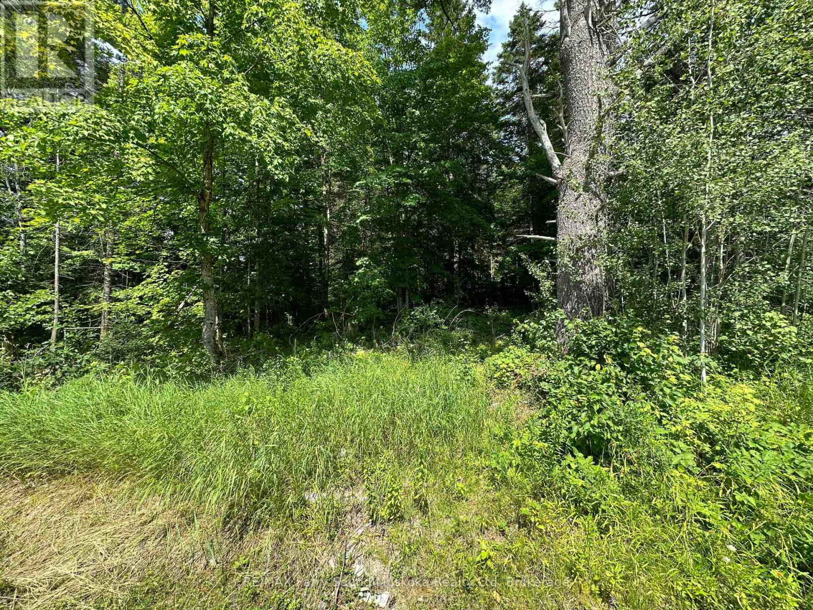 0 Blackwater Road, Mckellar, Ontario  P2A 0B5 - Photo 9 - X12167764