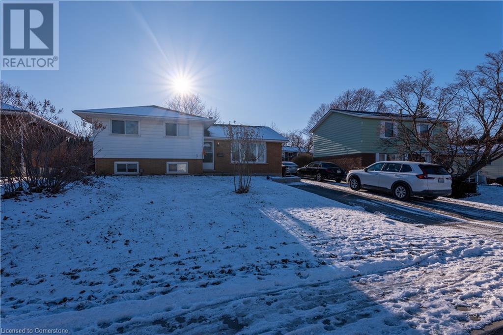 Property at 936 ALICE Street image 4