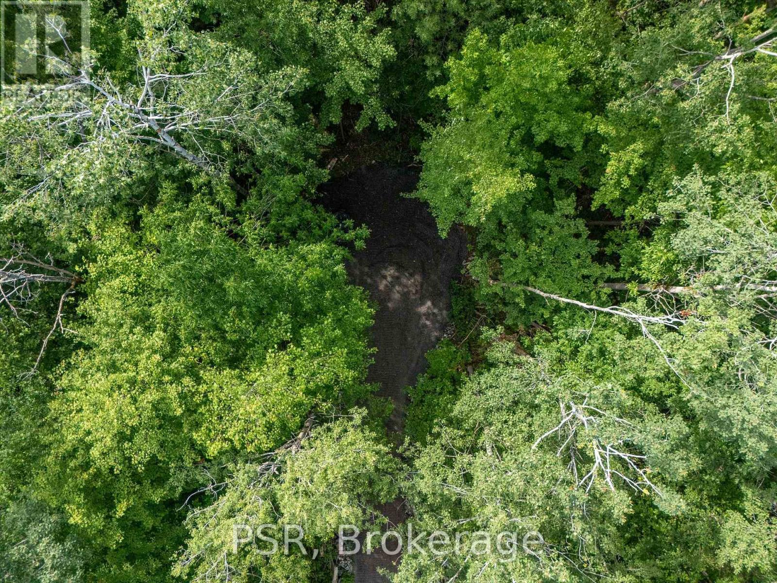 1465 Canning Road, Gravenhurst, Ontario  P0E 1N0 - Photo 17 - X12288581