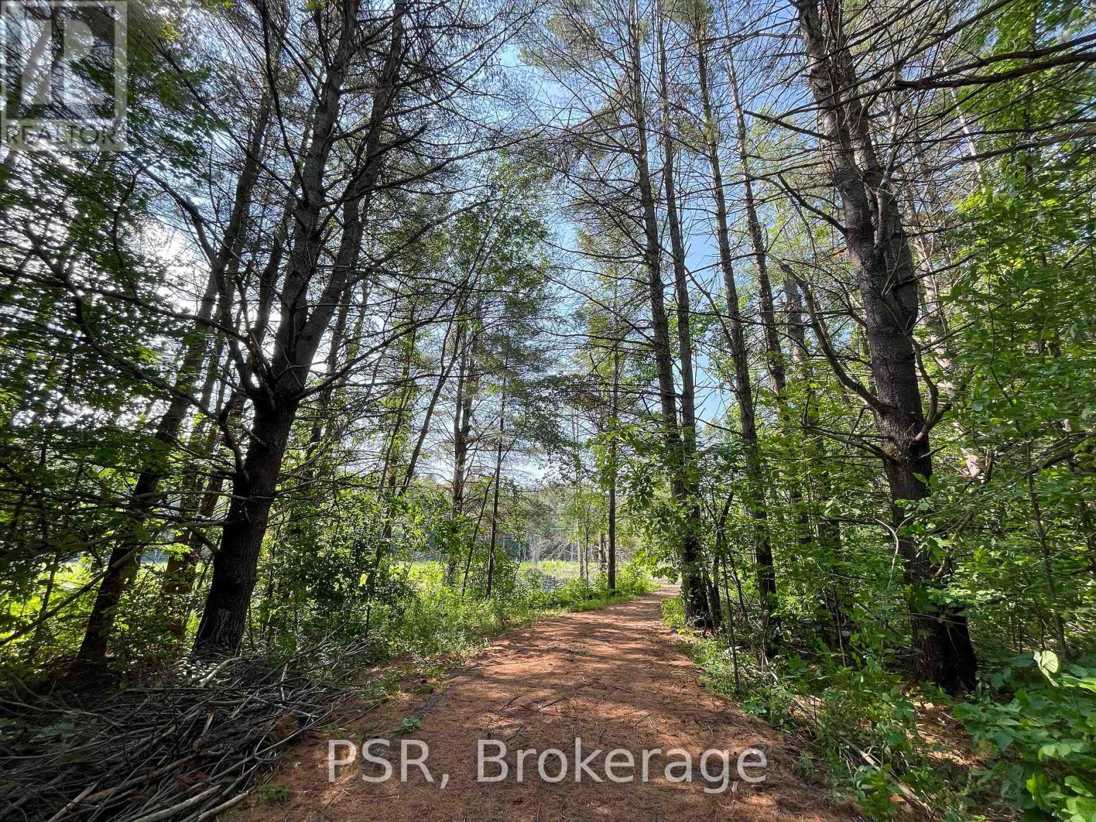 1465 Canning Road, Gravenhurst, Ontario  P0E 1N0 - Photo 4 - X12288581