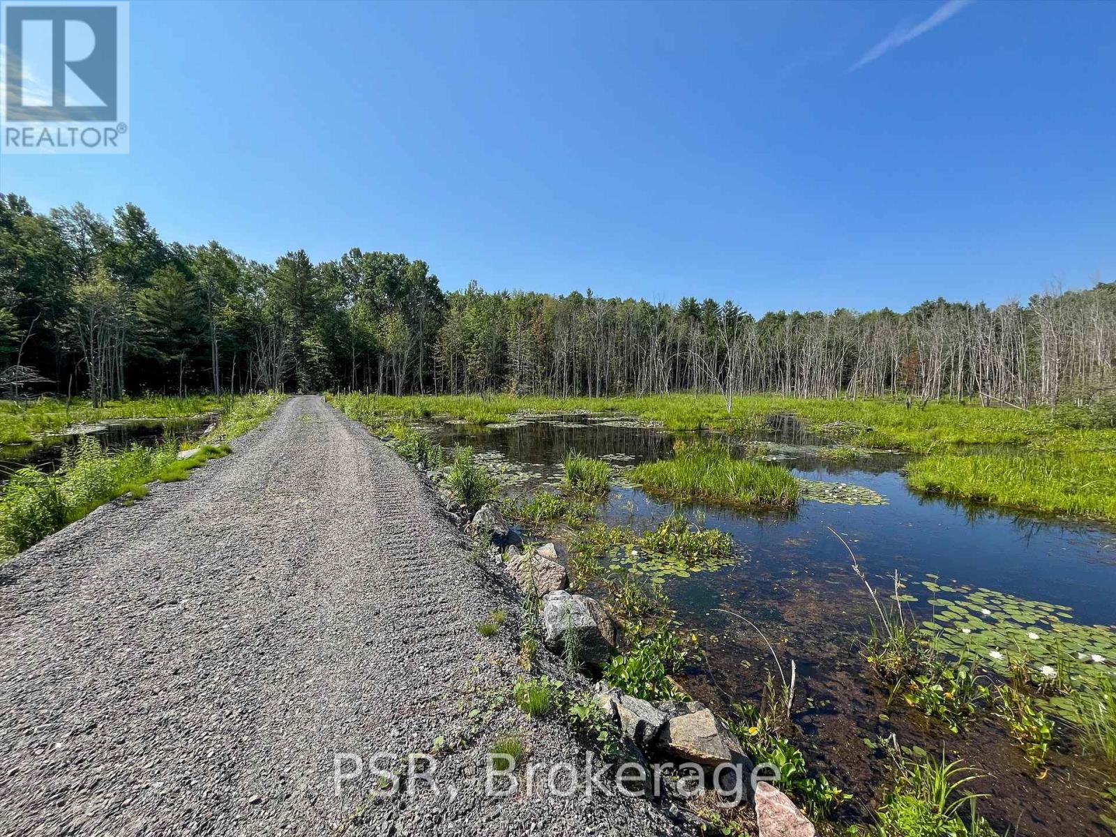 1465 Canning Road, Gravenhurst, Ontario  P0E 1N0 - Photo 7 - X12288581