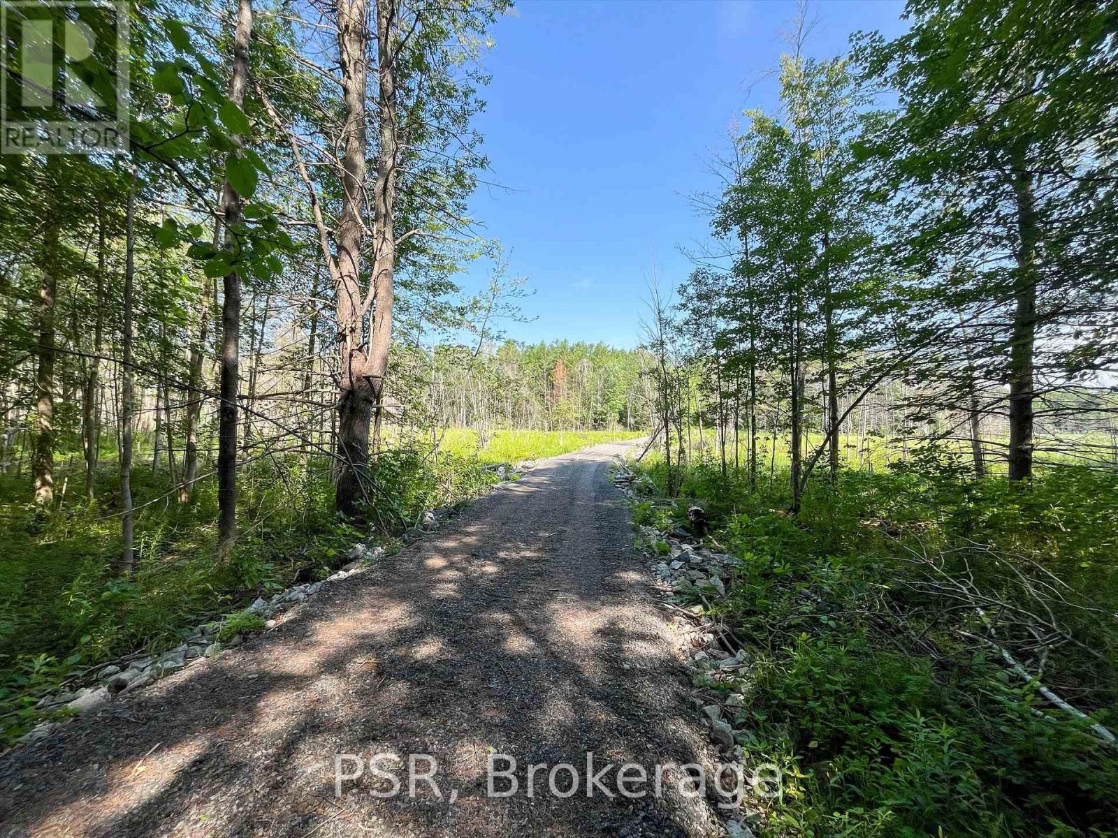 1465 Canning Road, Gravenhurst, Ontario  P0E 1N0 - Photo 8 - X12288581