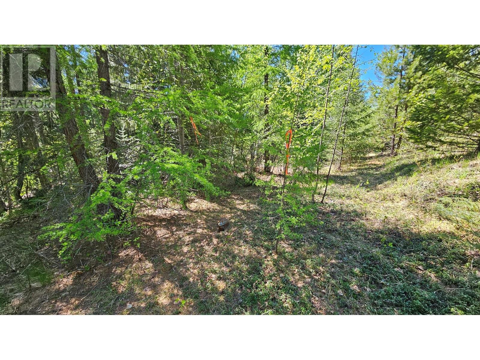 Lot E St. Mary Lake Road, Kimberley, British Columbia  V1A 3K5 - Photo 16 - 10354662