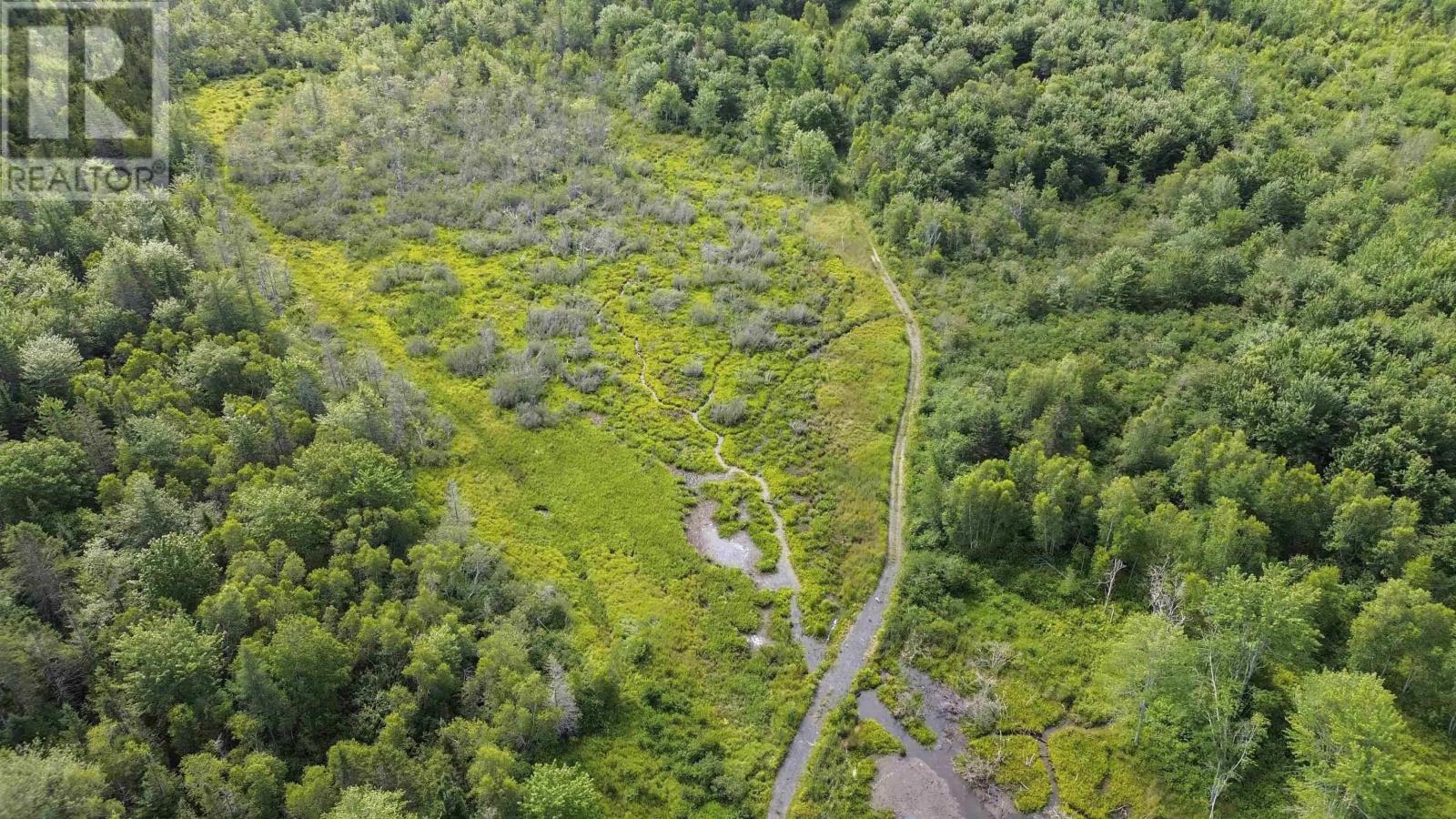 6782 Highway 215, Cheverie, Nova Scotia  B0N 2A0 - Photo 6 - 202517830