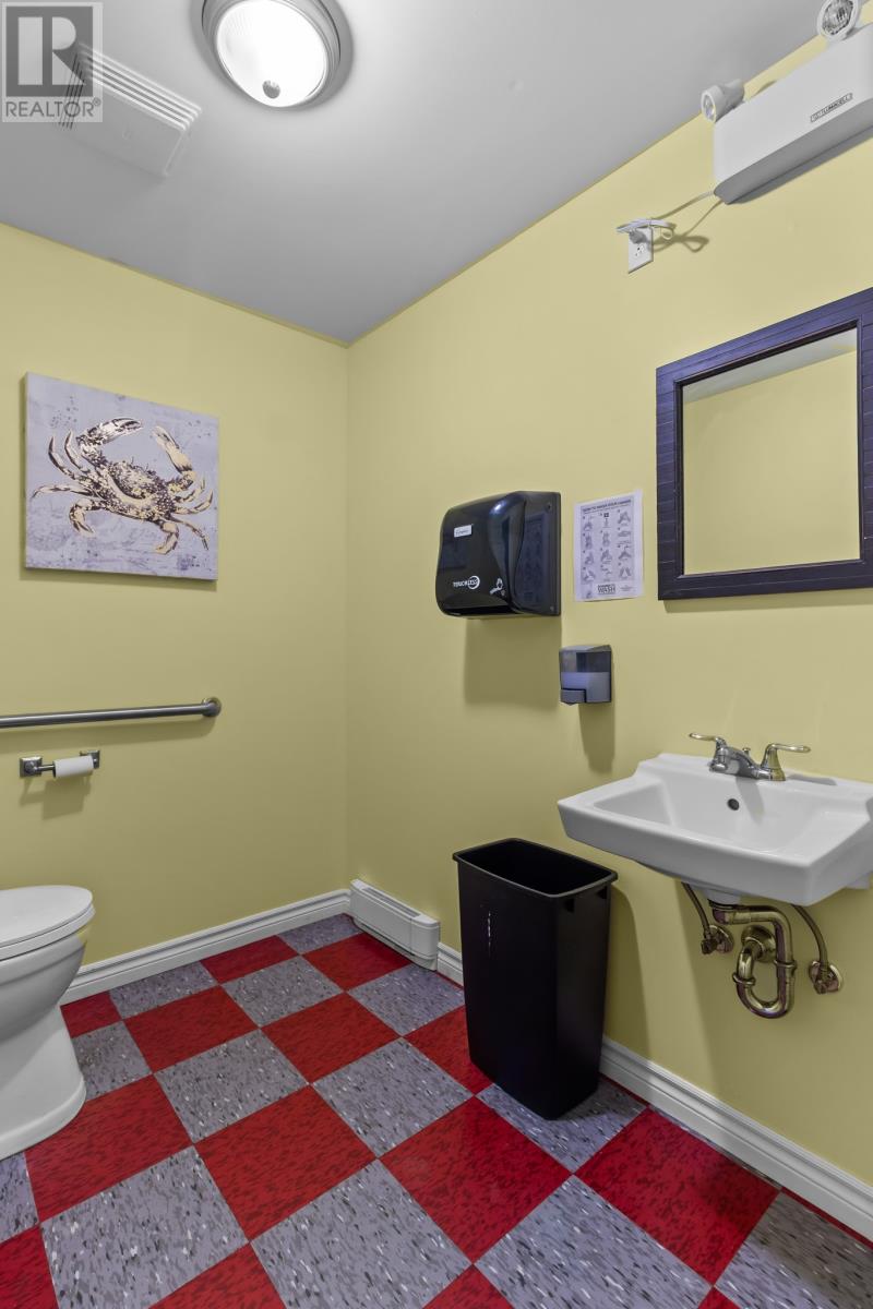 546 Salmonier Line, Holyrood, Newfoundland & Labrador  A0A 2R0 - Photo 10 - 1287891