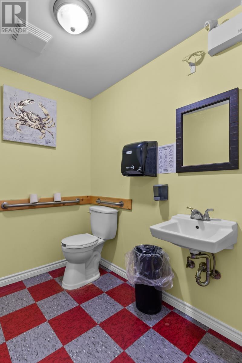 546 Salmonier Line, Holyrood, Newfoundland & Labrador  A0A 2R0 - Photo 9 - 1287891