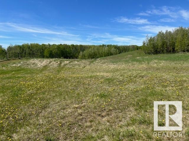 #6 1118 Twp Rd 534, Rural Parkland County, Alberta  T7Y 0B6 - Photo 6 - E4425701