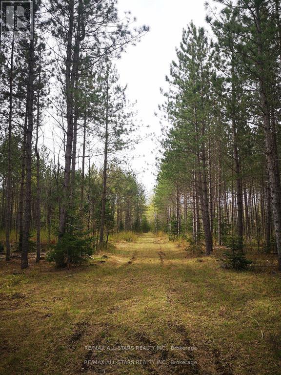 0 Penzance Trail, Highlands East, Ontario  K0L 2V0 - Photo 3 - X12287651