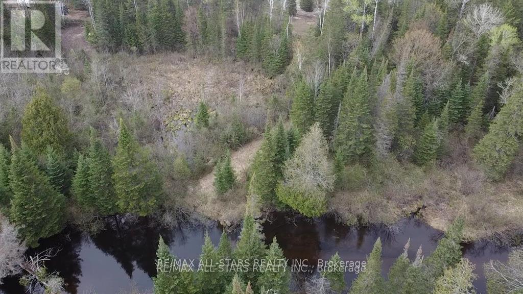 0 Penzance Trail, Highlands East, Ontario  K0L 2V0 - Photo 6 - X12287651