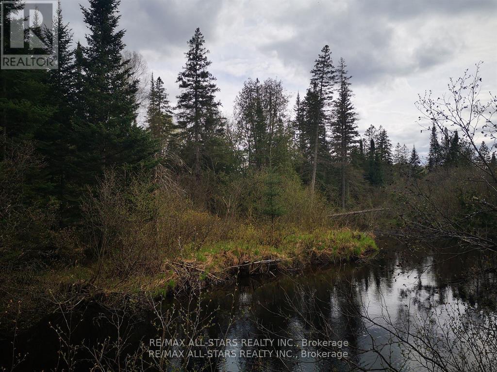 0 Penzance Trail, Highlands East, Ontario  K0L 2V0 - Photo 7 - X12287651