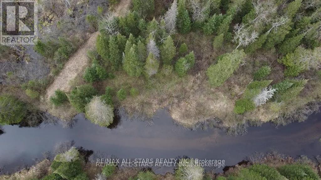 0 Penzance Trail, Highlands East, Ontario  K0L 2V0 - Photo 17 - X12287651