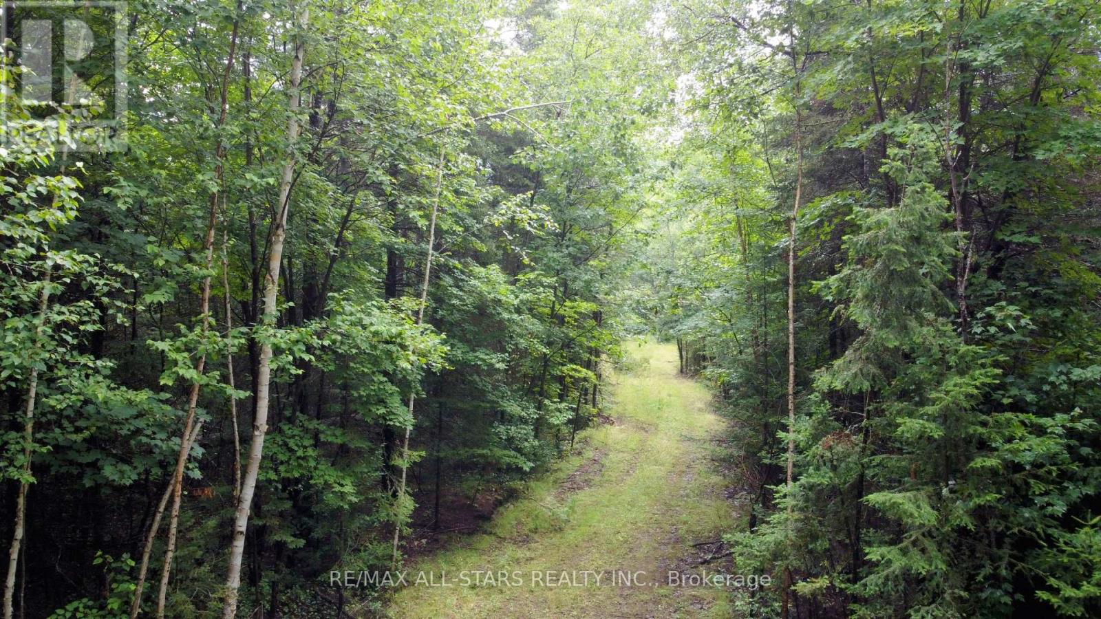 0 Penzance Trail, Highlands East, Ontario  K0L 2V0 - Photo 10 - X12287651