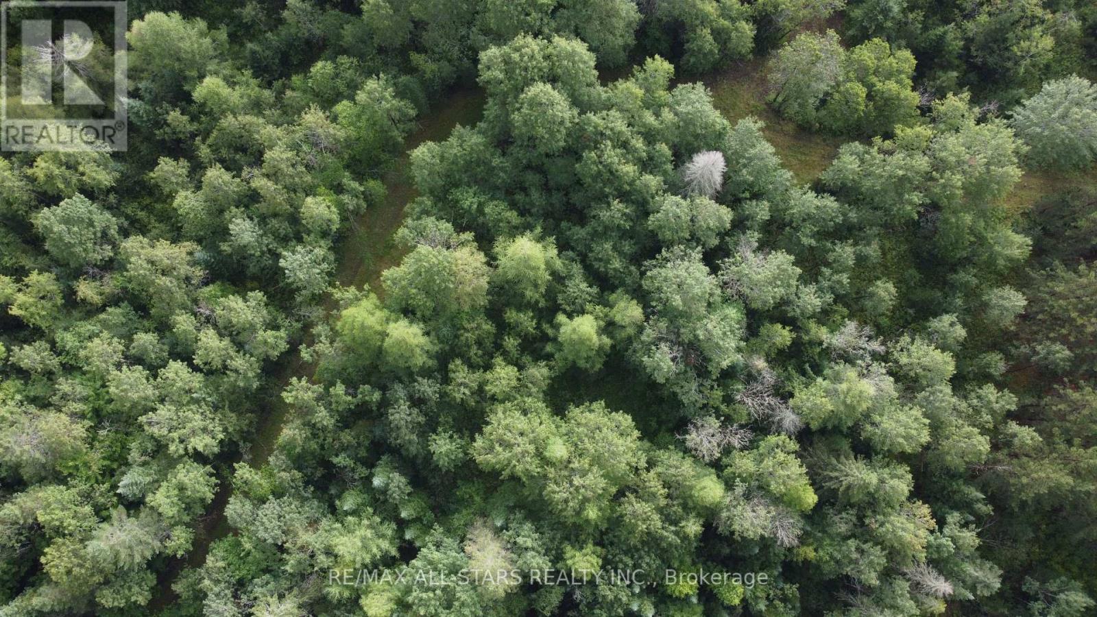 0 Penzance Trail, Highlands East, Ontario  K0L 2V0 - Photo 12 - X12287651