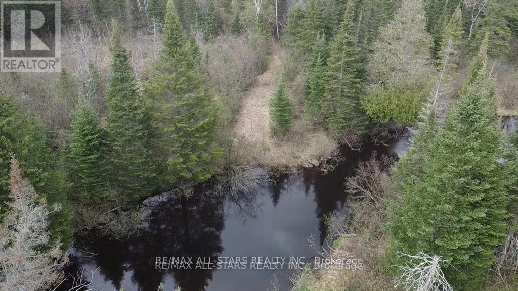 0 Penzance Trail, Highlands East, Ontario  K0L 2V0 - Photo 19 - X12287651