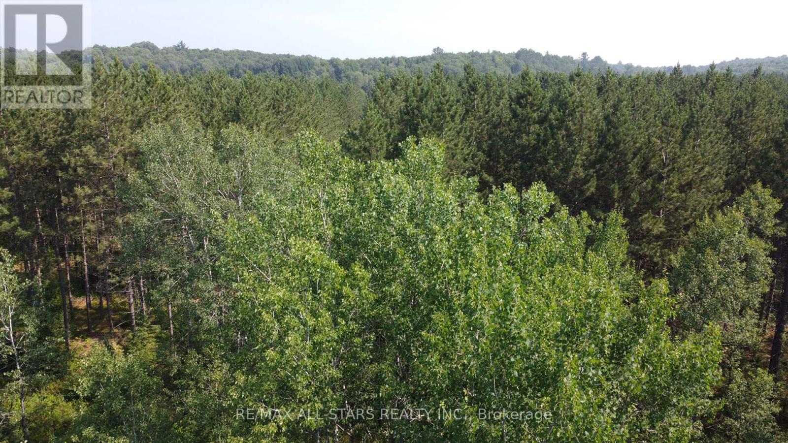 0 Penzance Trail, Highlands East, Ontario  K0L 2V0 - Photo 15 - X12287651