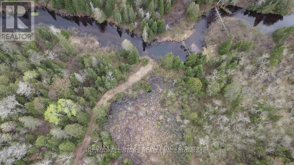 0 Penzance Trail, Highlands East, Ontario  K0L 2V0 - Photo 18 - X12287651