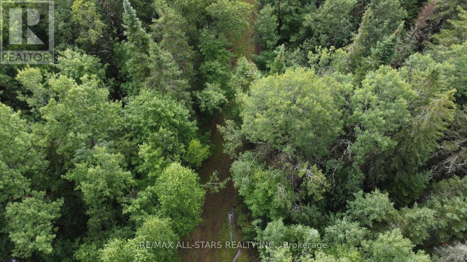 0 Penzance Trail, Highlands East, Ontario  K0L 2V0 - Photo 11 - X12287651