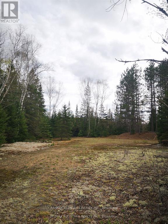 0 Penzance Trail, Highlands East, Ontario  K0L 2V0 - Photo 4 - X12287651