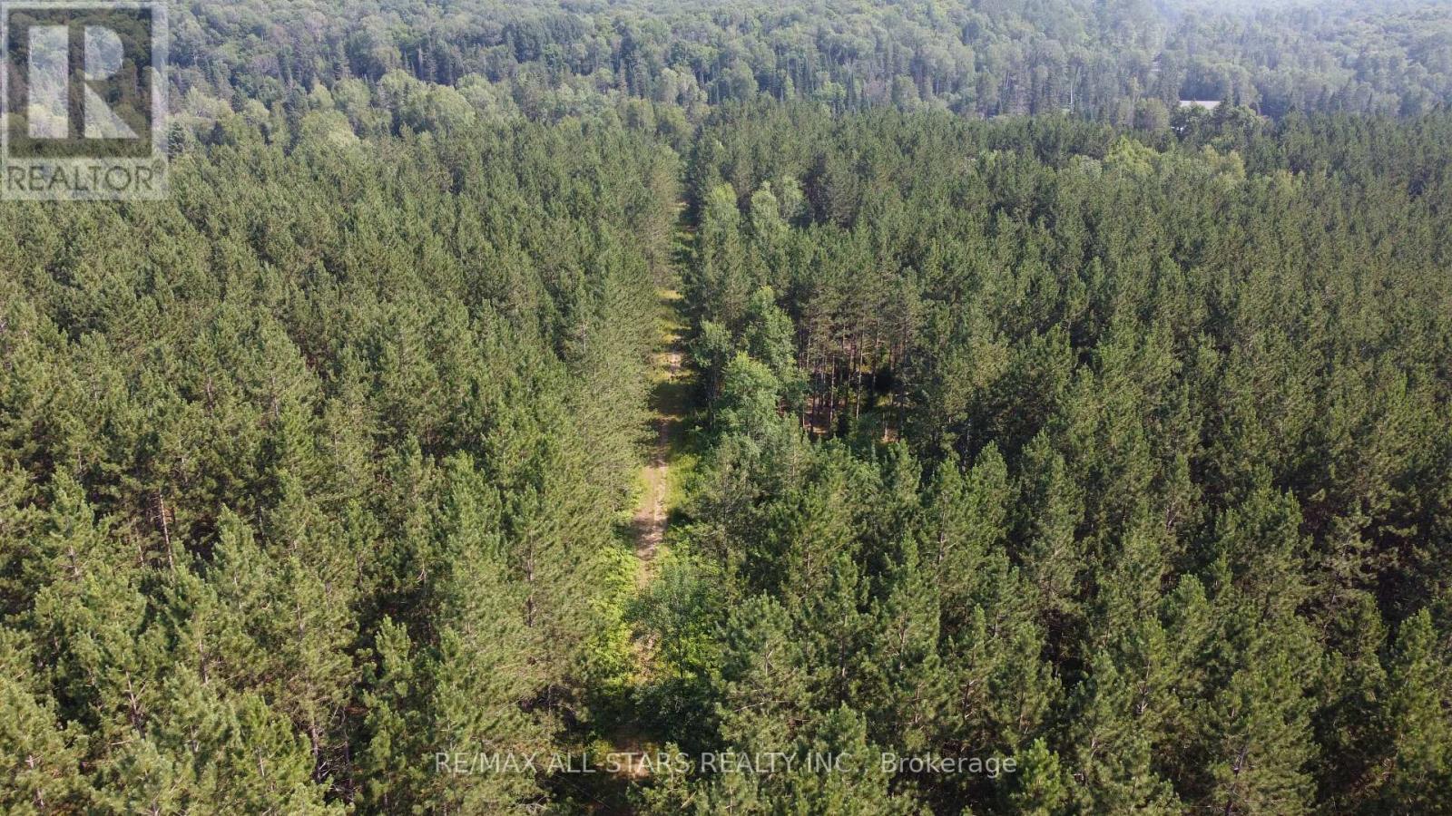 0 Penzance Trail, Highlands East, Ontario  K0L 2V0 - Photo 9 - X12287651