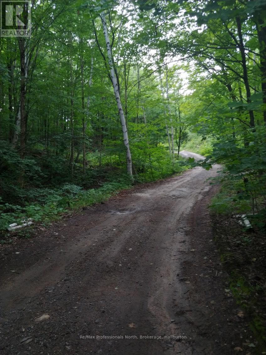 0 Basshaunt Lake Road, Dysart Et Al, Ontario  K0M 1S0 - Photo 43 - X10438608