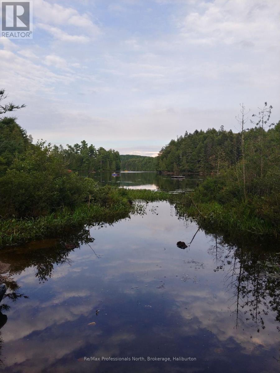 0 Basshaunt Lake Road, Dysart Et Al, Ontario  K0M 1S0 - Photo 42 - X10438608