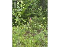 Lot 151 Bettsburg Road, Doaktown, New Brunswick