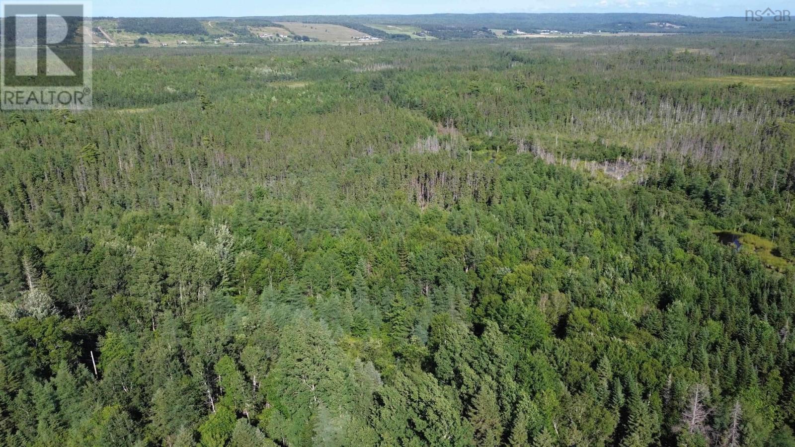 Acreage Highway 105, Kingsville, Nova Scotia  B0E 3L0 - Photo 3 - 202517706