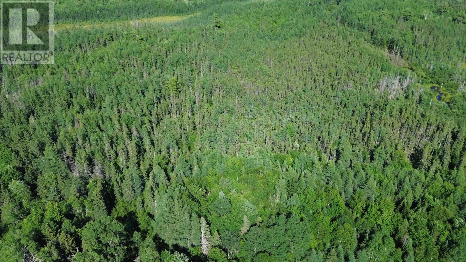 Acreage Highway 105, Kingsville, Nova Scotia  B0E 3L0 - Photo 12 - 202517706