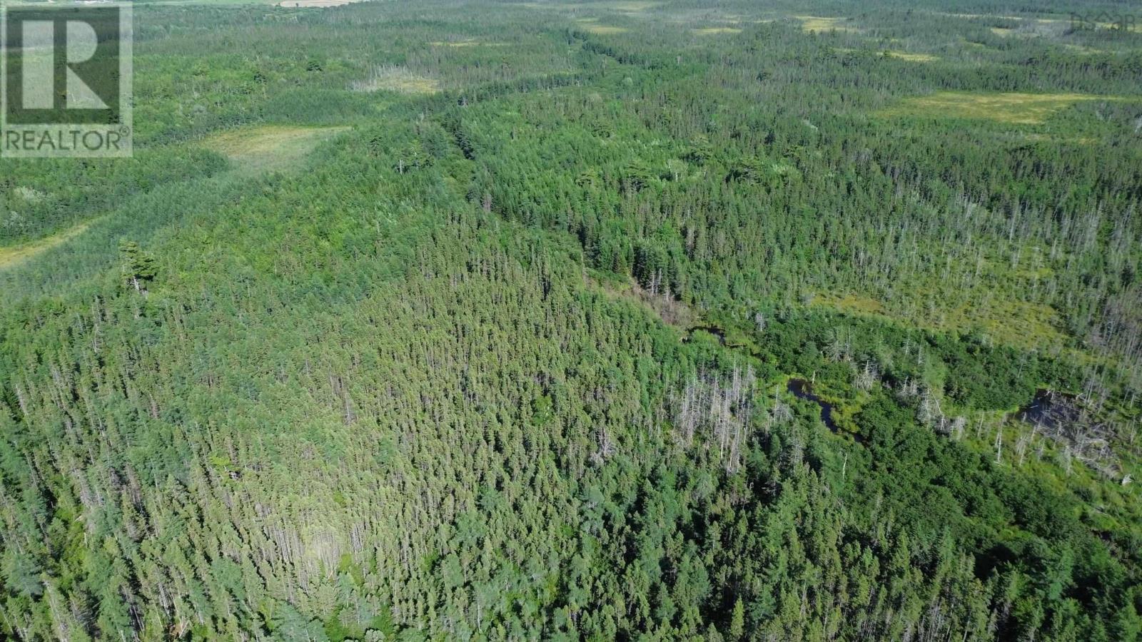 Acreage Highway 105, Kingsville, Nova Scotia  B0E 3L0 - Photo 15 - 202517706