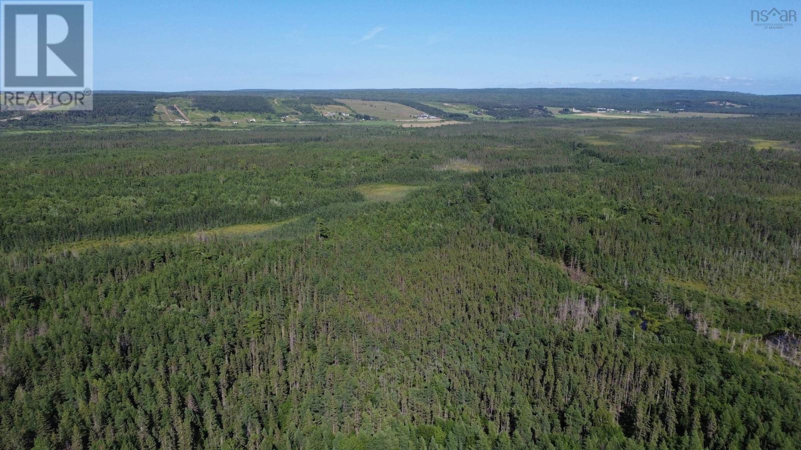 Acreage Highway 105, Kingsville, Nova Scotia  B0E 3L0 - Photo 13 - 202517706