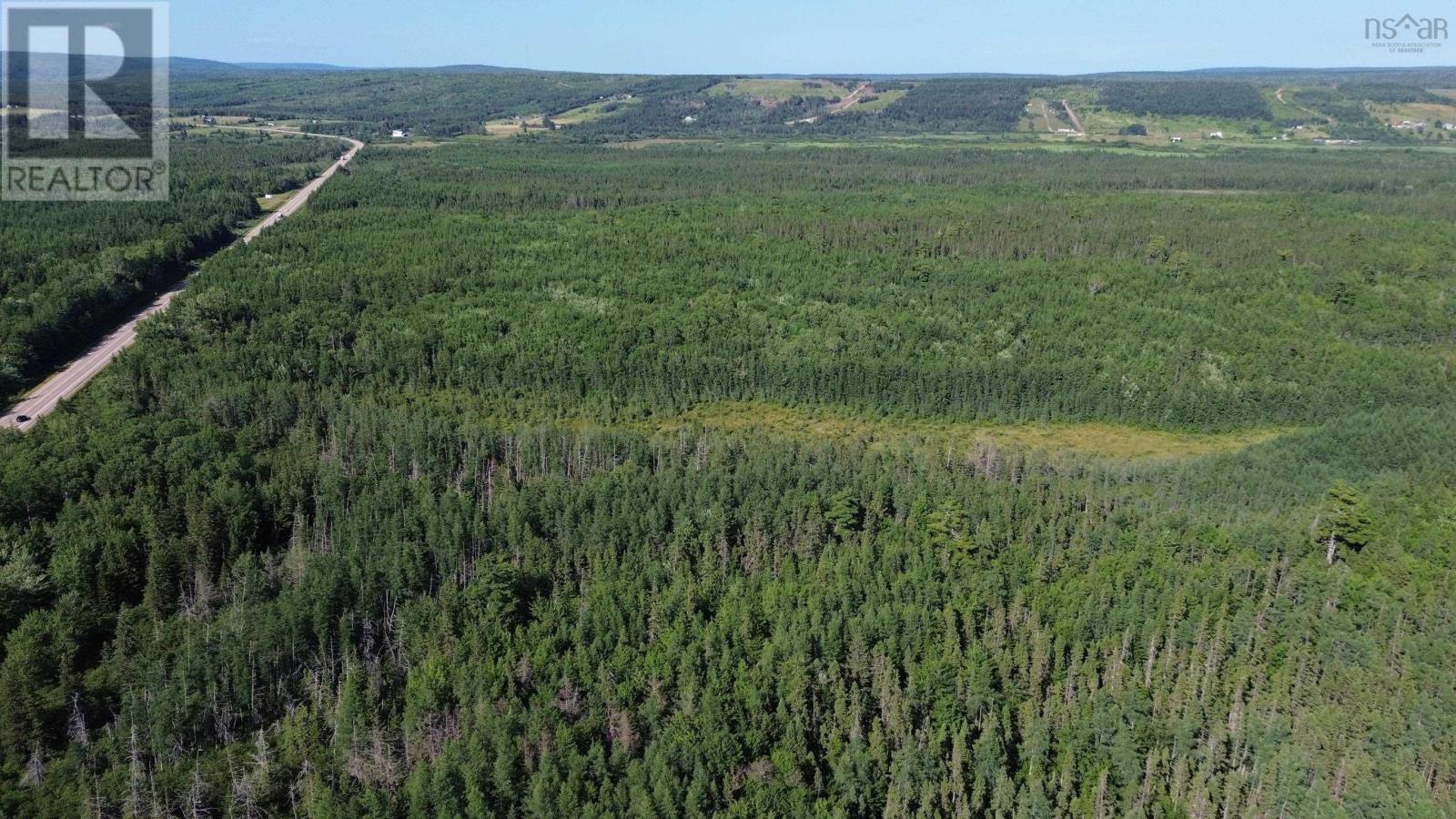 Acreage Highway 105, Kingsville, Nova Scotia  B0E 3L0 - Photo 18 - 202517706