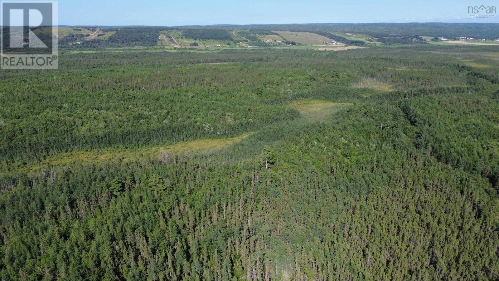 Acreage Highway 105, Kingsville, Nova Scotia  B0E 3L0 - Photo 17 - 202517706