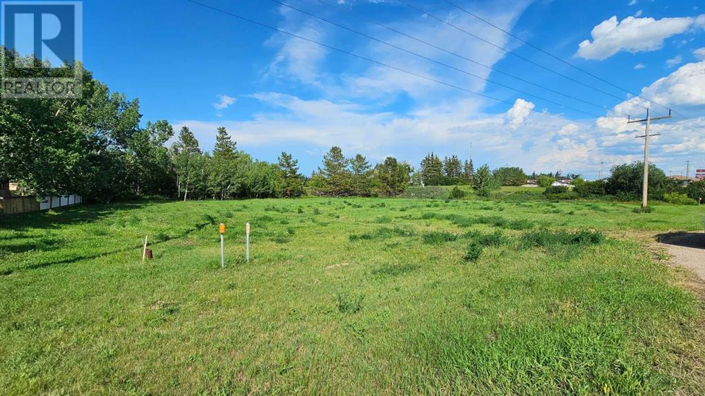 4325 48 Avenue, Castor, Alberta  T0C 0X0 - Photo 1 - A2240471