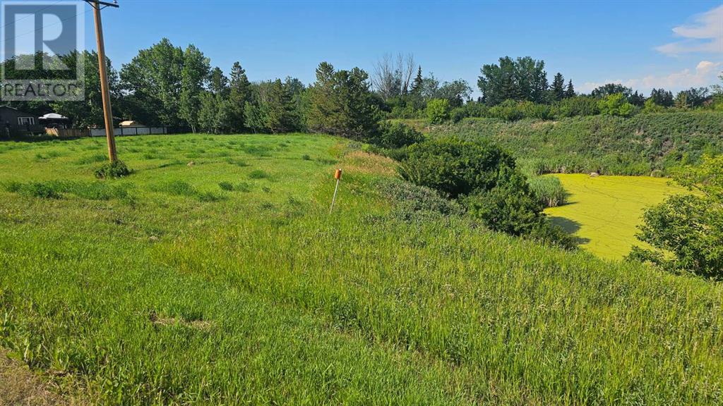 4325 48 Avenue, Castor, Alberta  T0C 0X0 - Photo 2 - A2240471