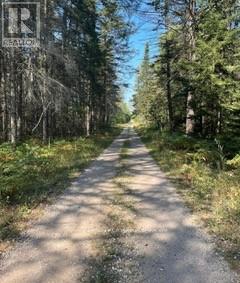 25 I Street, Cockburn Island, Ontario  P0P 1R0 - Photo 10 - X12289187