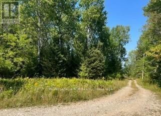 25 I Street, Cockburn Island, Ontario  P0P 1R0 - Photo 5 - X12289187