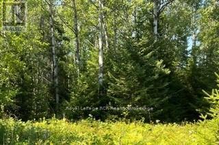 25 I Street, Cockburn Island, Ontario  P0P 1R0 - Photo 6 - X12289187
