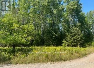 25 I Street, Cockburn Island, Ontario  P0P 1R0 - Photo 7 - X12289187