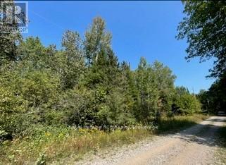 25 I Street, Cockburn Island, Ontario  P0P 1R0 - Photo 8 - X12289187