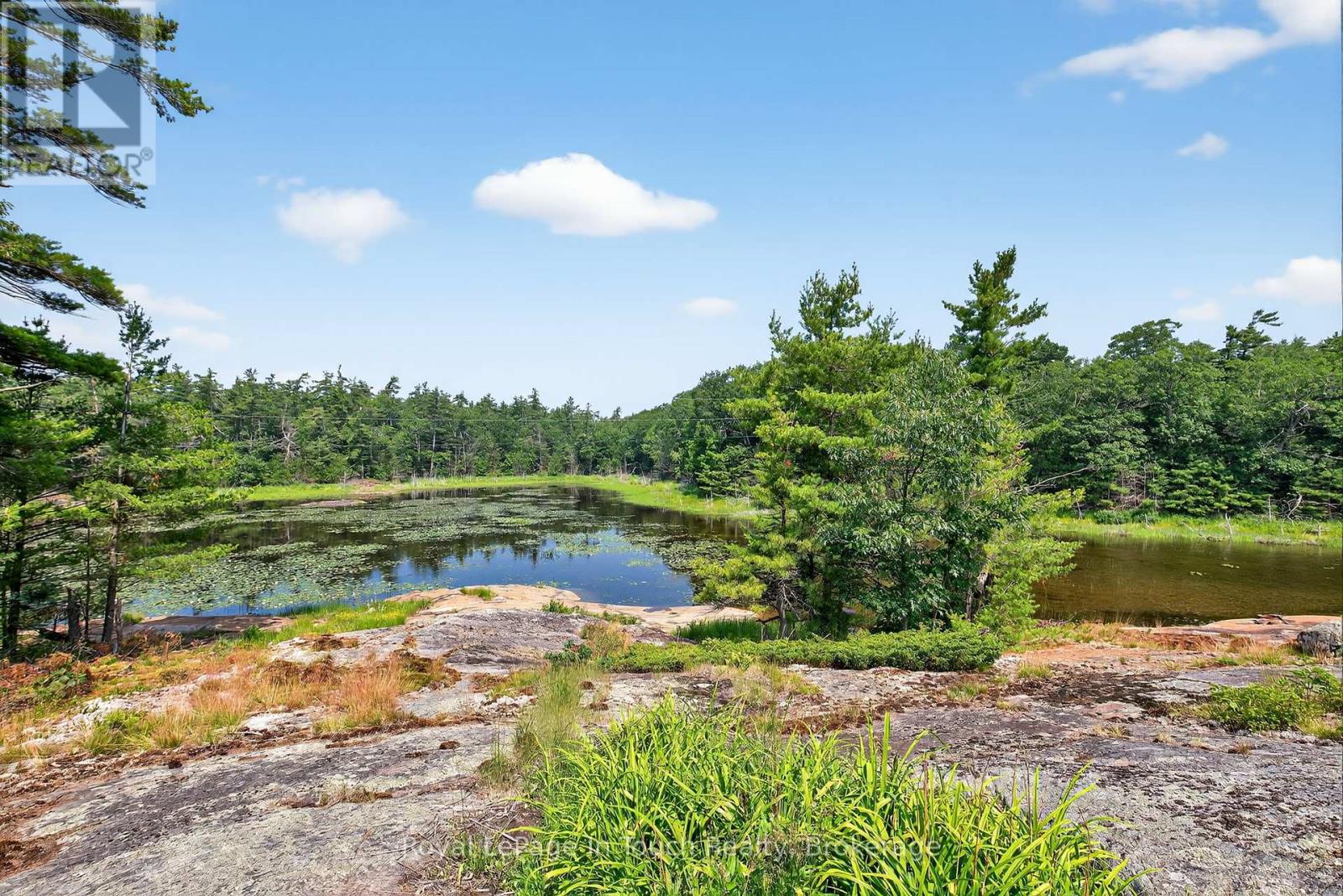 34 B320 Sans Souci Island, The Archipelago, Ontario  P0C 1H0 - Photo 34 - X12289265