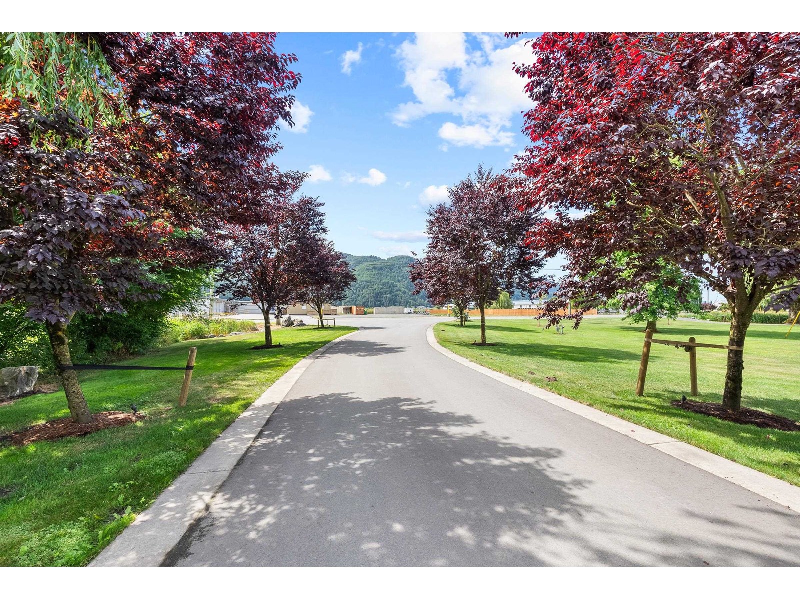 49517 Prairie Central Road, East Chilliwack, Chilliwack, British Columbia  V2P 6H3 - Photo 6 - R3027370