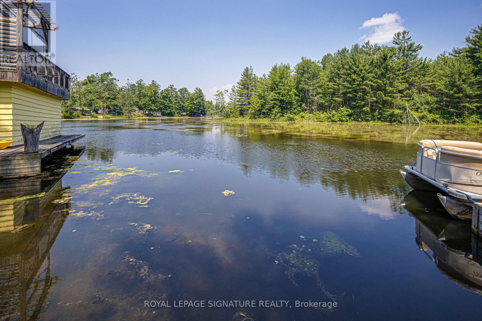 153 Stanley Road, Kawartha Lakes, Ontario  K0M 2T0 - Photo 10 - X12289410