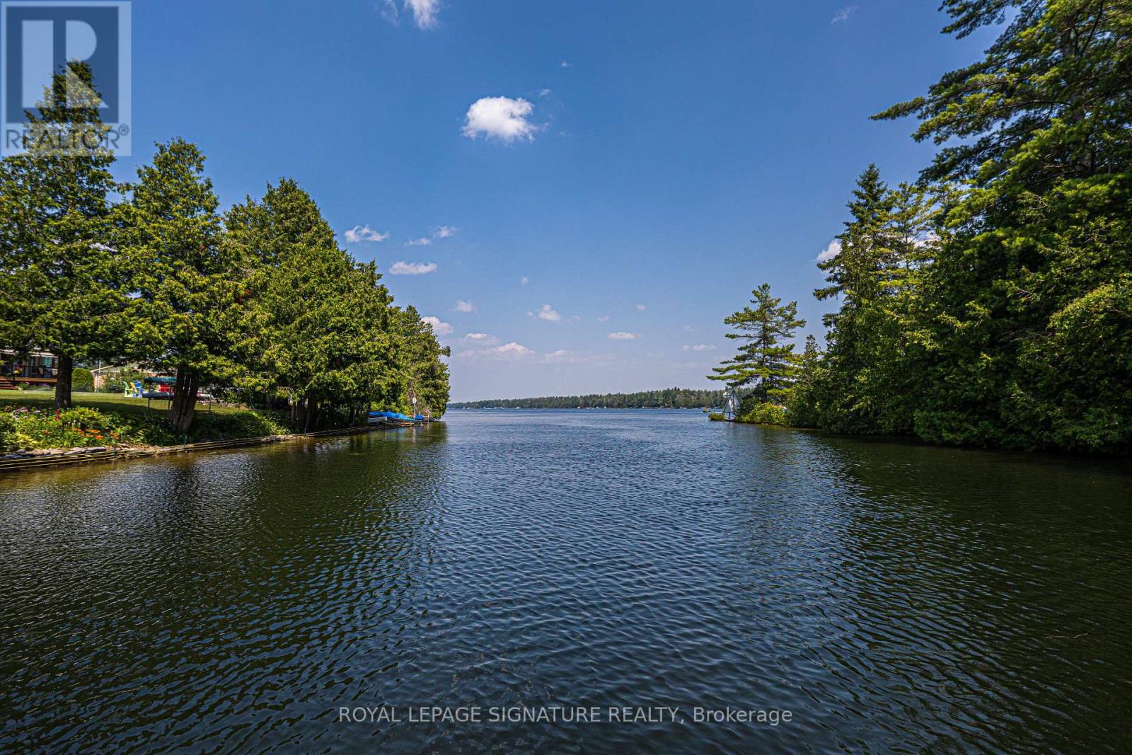 153 Stanley Road, Kawartha Lakes, Ontario  K0M 2T0 - Photo 35 - X12289410