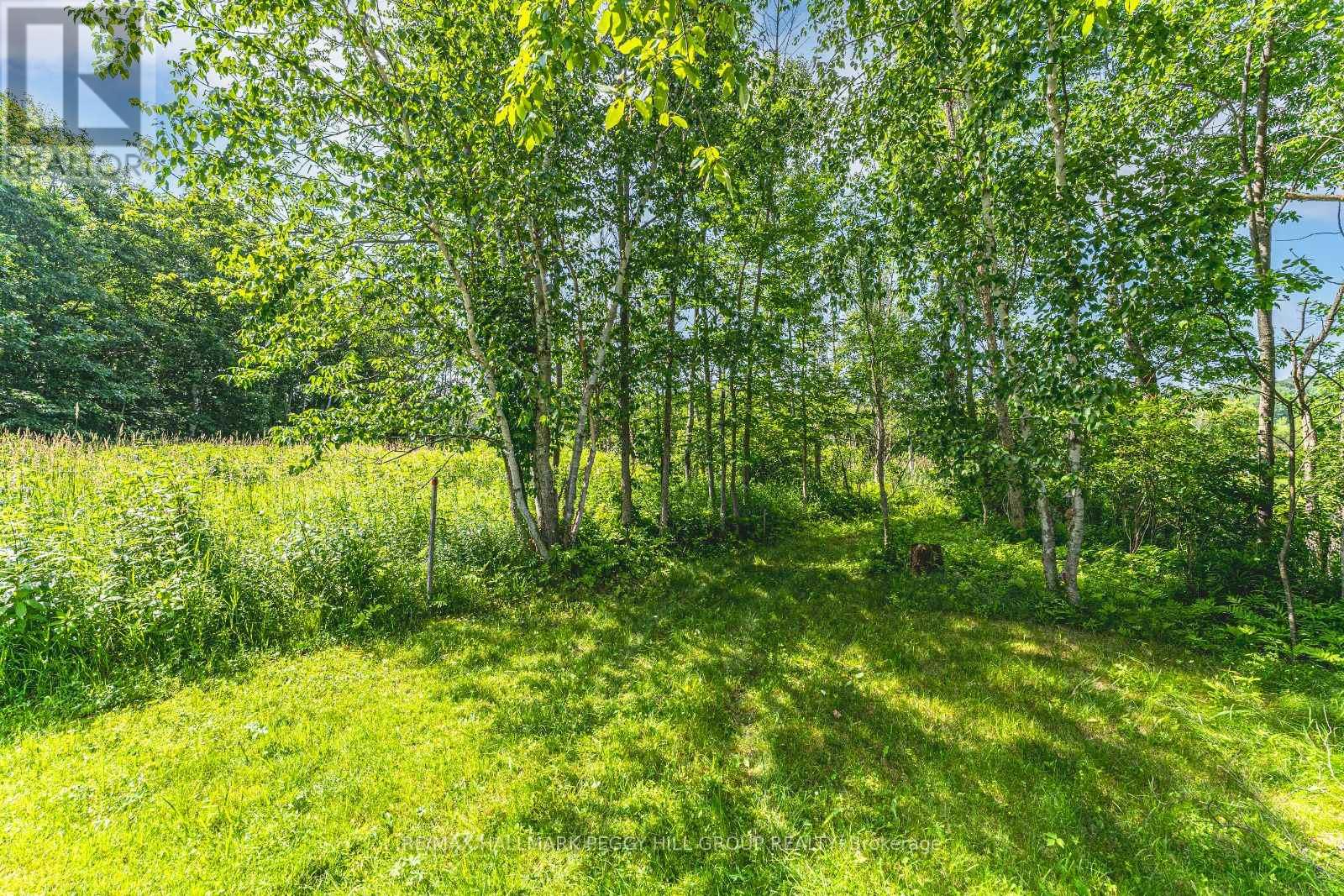 91b Highway 124, Mcdougall, Ontario  P2A 2W7 - Photo 4 - X12265394