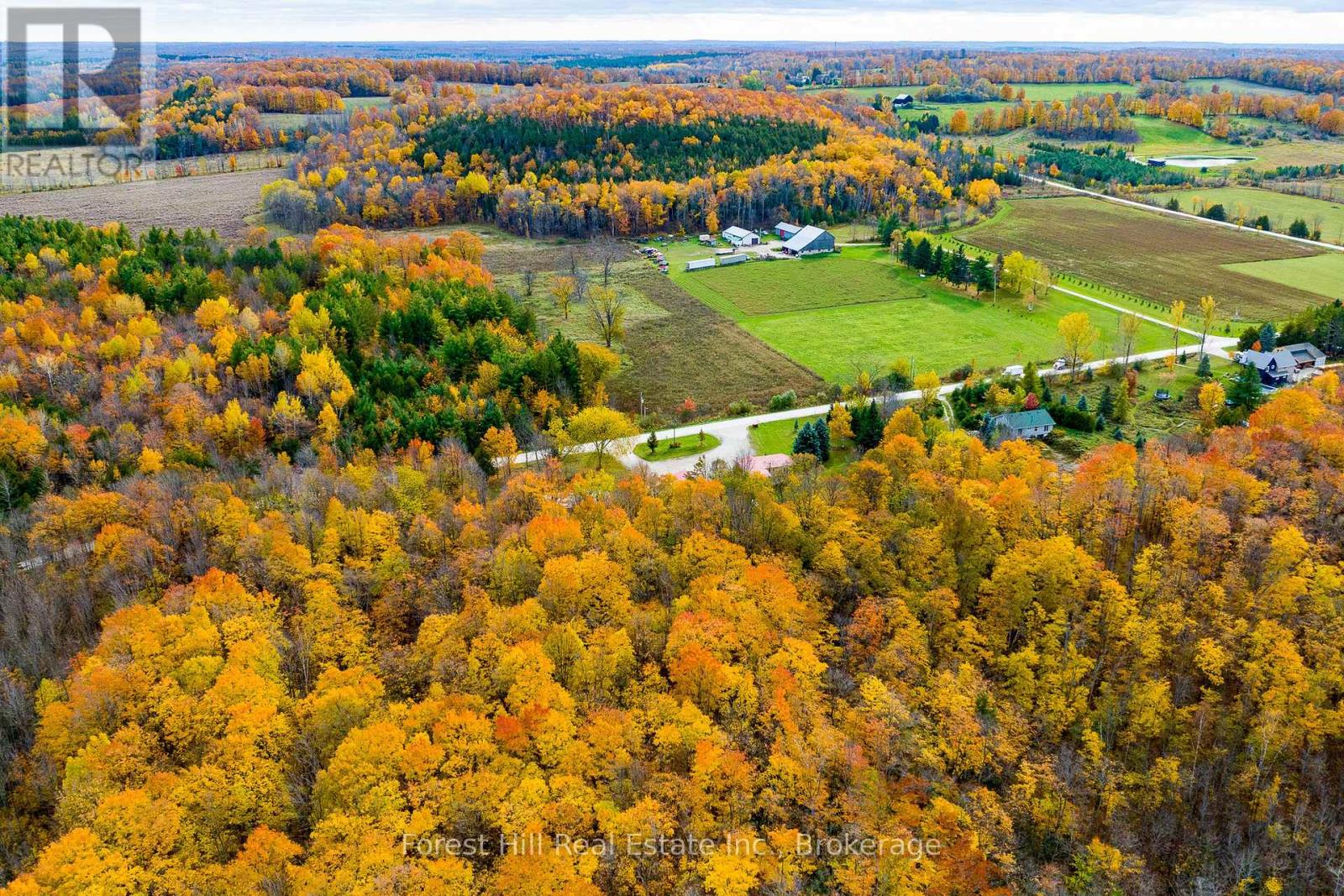 587317 9th Side Road, Blue Mountains, Ontario  N0H 1J0 - Photo 3 - X12289573