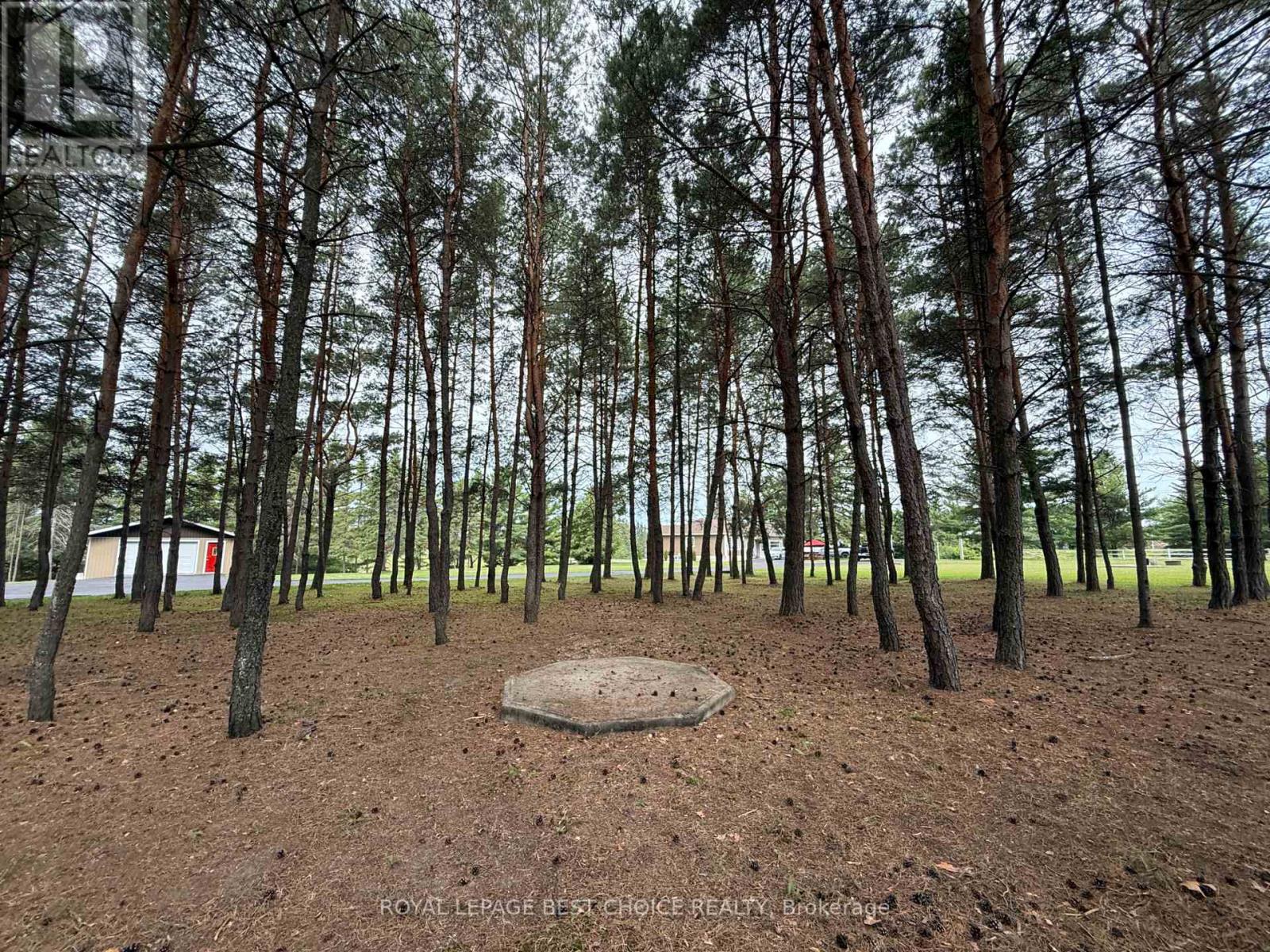 804164 Golf Course Road, Temiskaming Shores, Ontario  P0J 1P0 - Photo 45 - T12281952