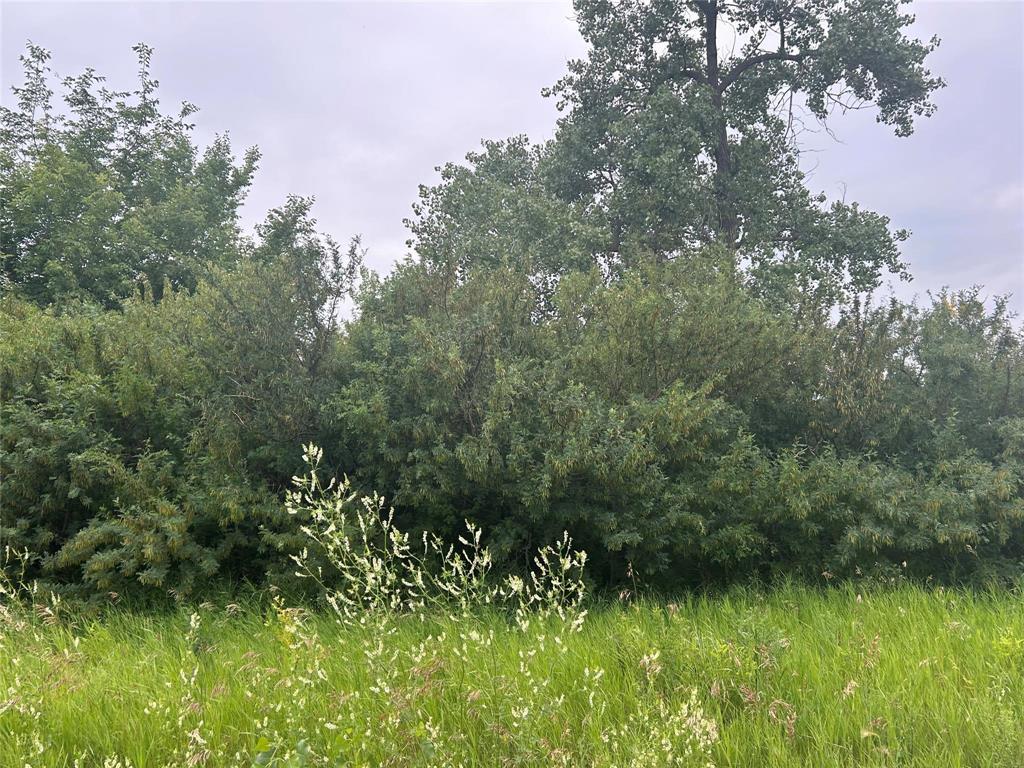 Unknown Address, RM of Elton, Manitoba