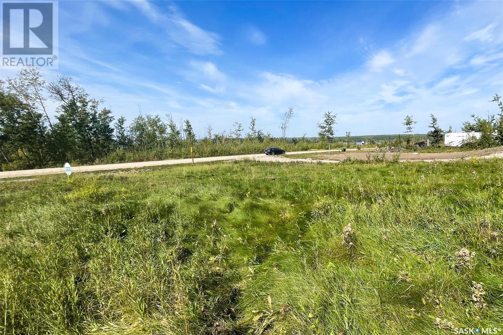 542 Larch Street, Beaver River Rm No. 622, Saskatchewan  S0M 1A0 - Photo 22 - SK012900