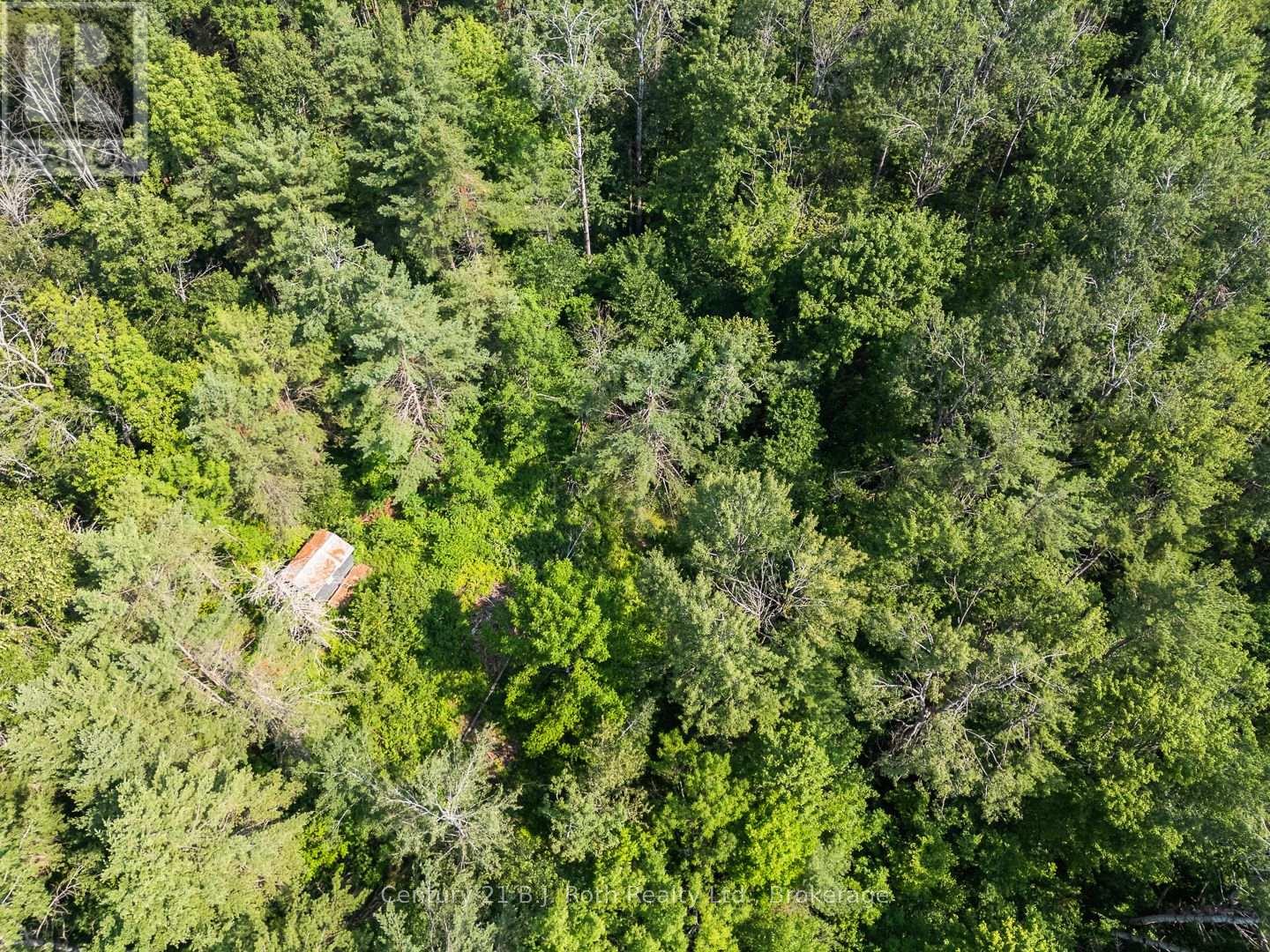 1140 Sam Cook Road, Gravenhurst, Ontario  P1P 1R3 - Photo 5 - X12289819